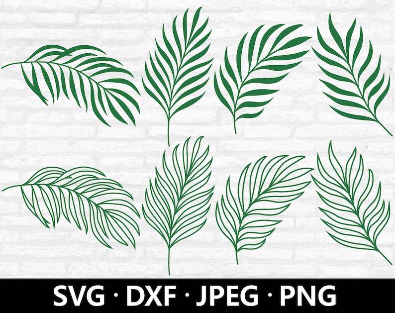 Palm Leaf Svg Cut File For Cricut Palm Leaf Silhouette#1
