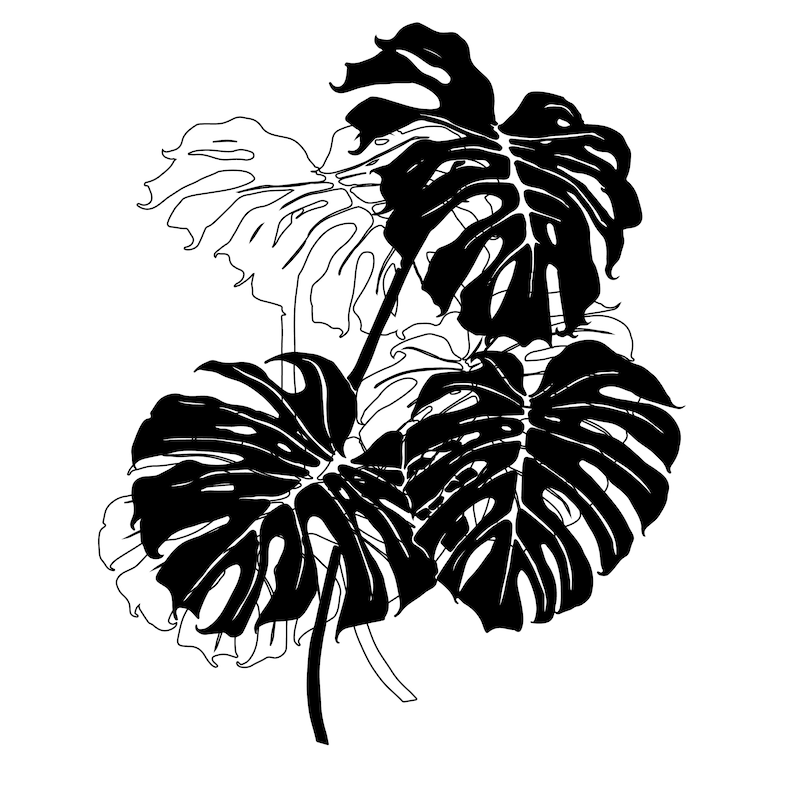 Monstera Leaf Svg Digital Cut and Engrave Files for Silhouette#2