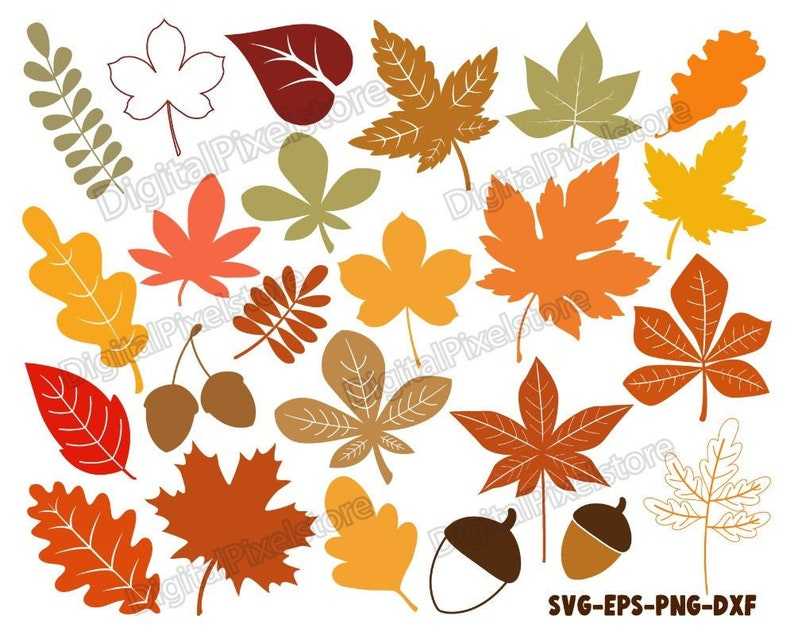 Fall Leaf Svg Bundle Fall Svg Clipart Silhouette Digital Download#1
