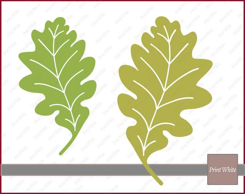 Fall Svg Leaves Clipart, Maple Leaf Svg Autumn Leaves Svg Leaves Cut File Cricut Cutting File Digital Download#6