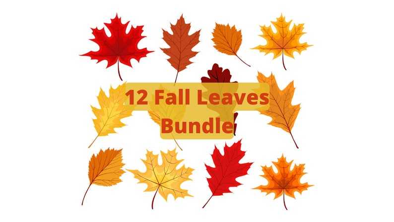 Maple Leaf Bundle Fall Svg Cut Files for Cricut Silhouette Digital Download#2