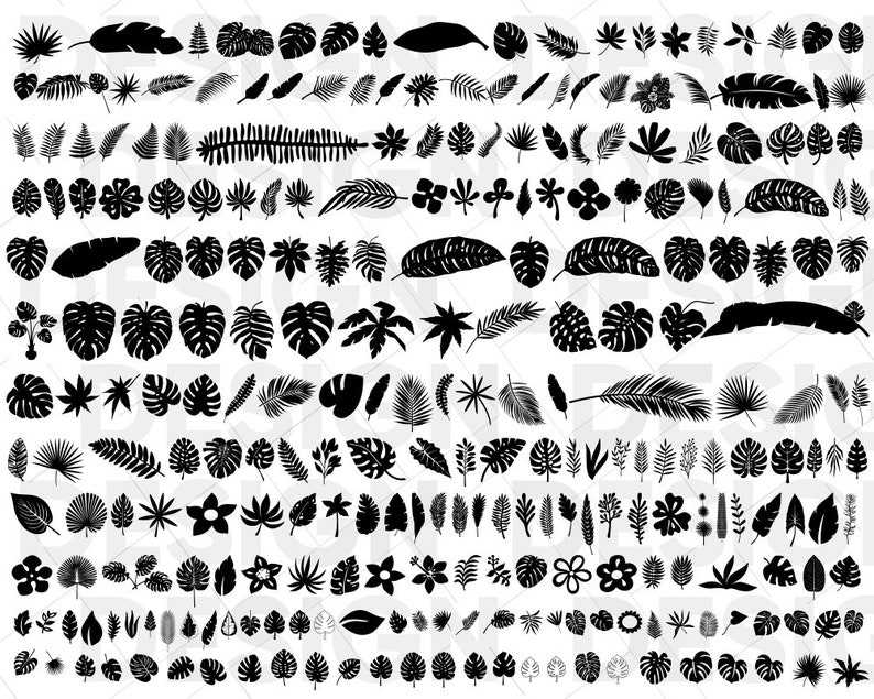 270+ Tropical Leaf Svg Bundle Monstera Svg, Palm Leaf Svg Cut Files for Cricut Digital Download#1