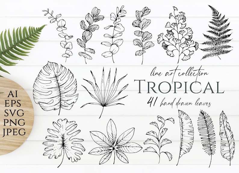 Flower Leaves Svg Eucalyptus Svg Botanical Clip Art Cricut Cut Files#2