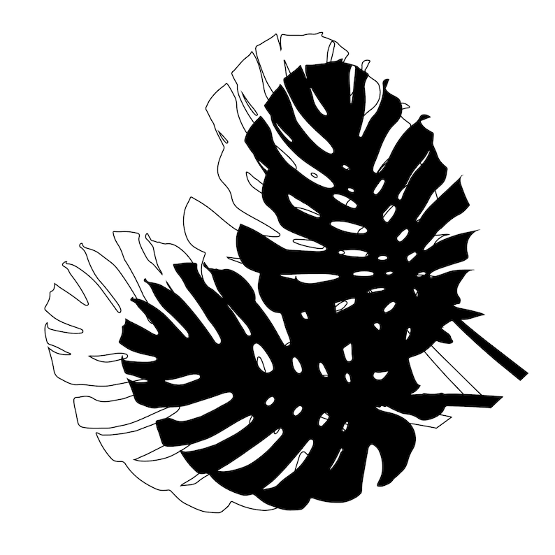 Monstera Leaf Svg Digital Cut and Engrave Files for Silhouette#6