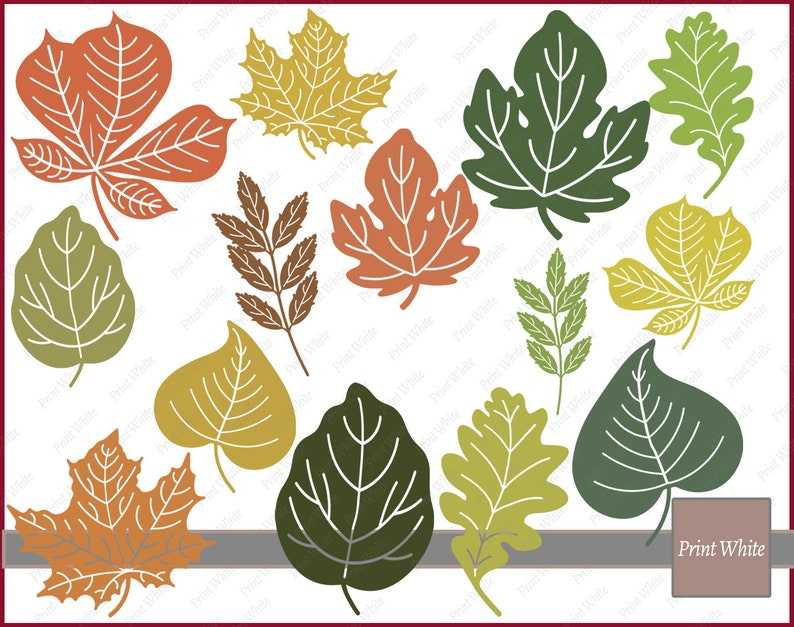 Fall Svg Leaves Clipart, Maple Leaf Svg Autumn Leaves Svg Leaves Cut File Cricut Cutting File Digital Download#1