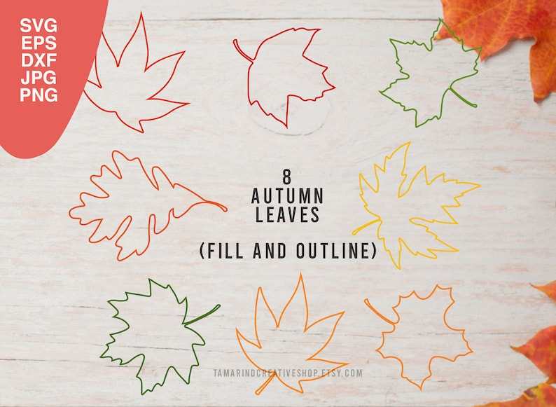 Download Maple Leaf Svg Designs For Your Craft Projects