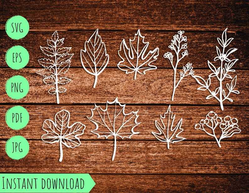 Set Fall Autumn Leaves Vector Svg High Quality Perfect for your Design