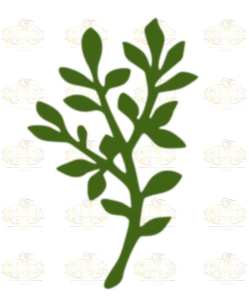 6 Different Leaves Svg Bundle Digital Download#3