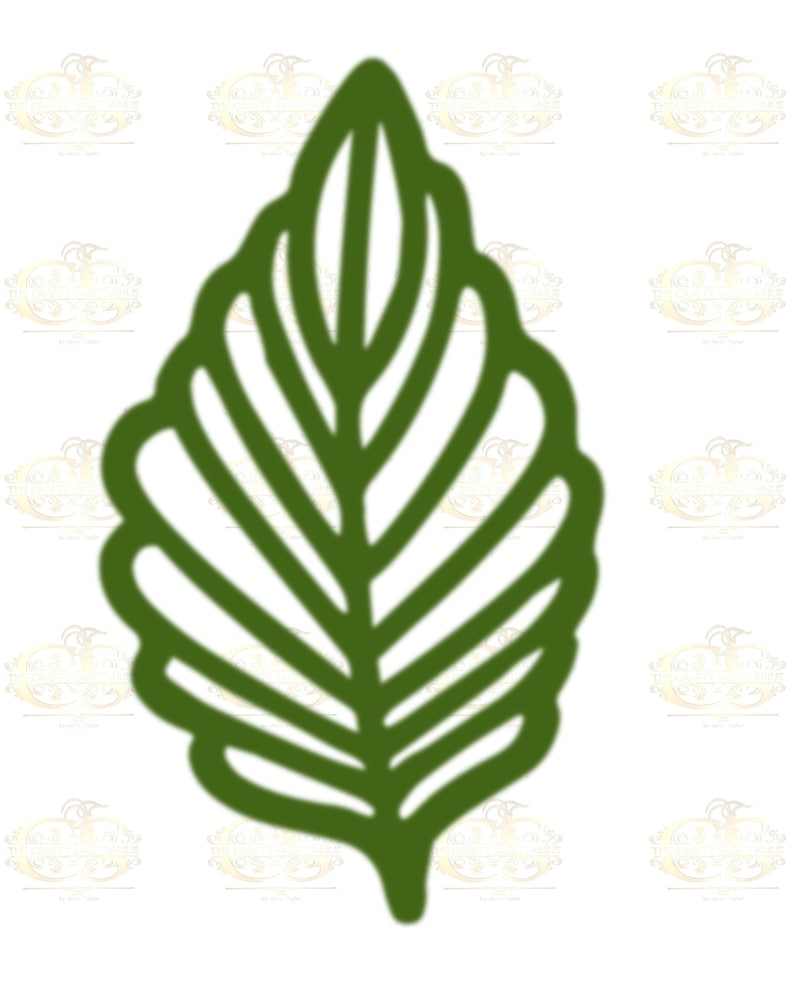 6 Different Leaves Svg Bundle Digital Download#4