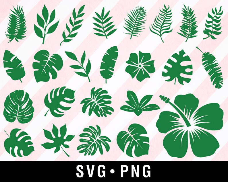 Tropical Leaf Svg Bundle Monstera Svg, Banana Leaf Svg, Palm Leaf Svg, Digital Download