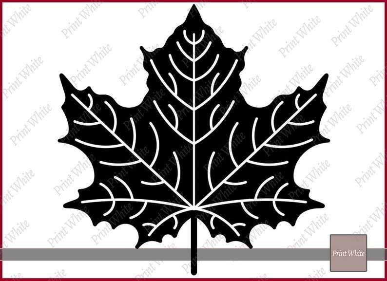 Fall Leaf Svg Fall Svg Maple Leaf Svg Autumn Leaves Svg Digital Download#6