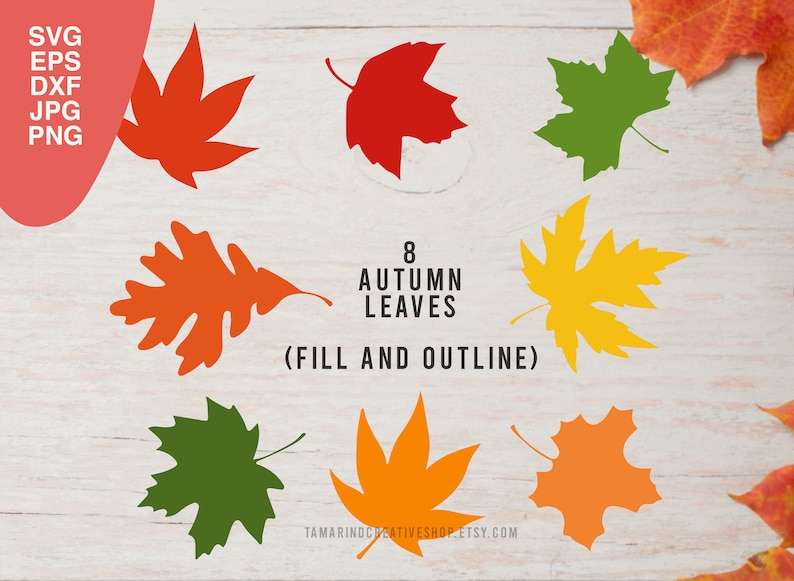 Download Maple Leaf Svg Designs For Your Craft Projects