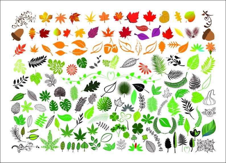 Leaves Svg Bundle, Leaf Svg, Tropical Leaves Svg, Monstera Svg, Svg Files for Cricut Digital Download #1