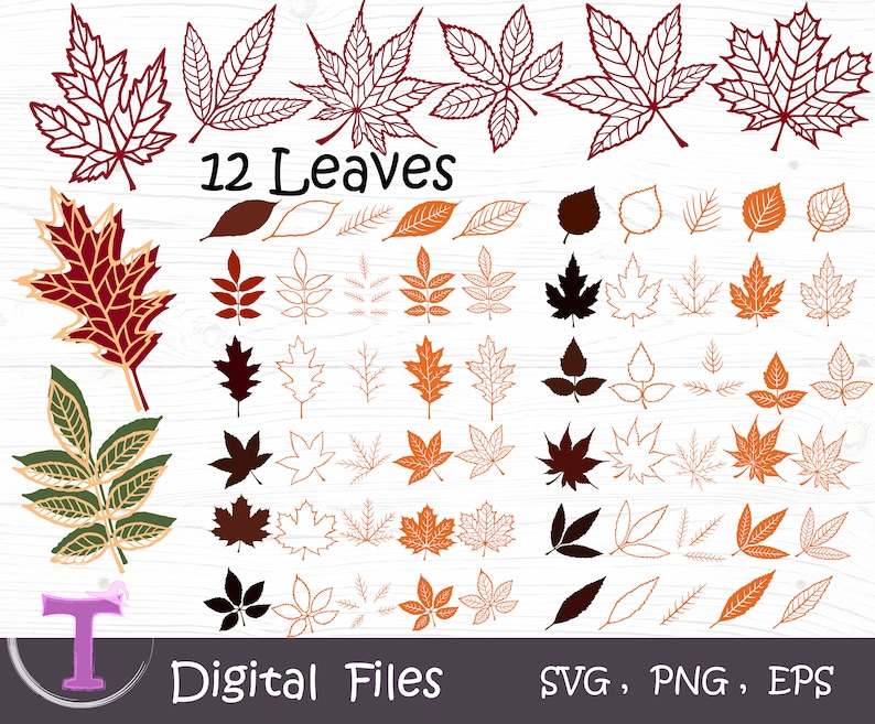 Fall Leaves Svg Bundle Layered Leaf Svg, Autumn Leaves Svg Digital Download#1