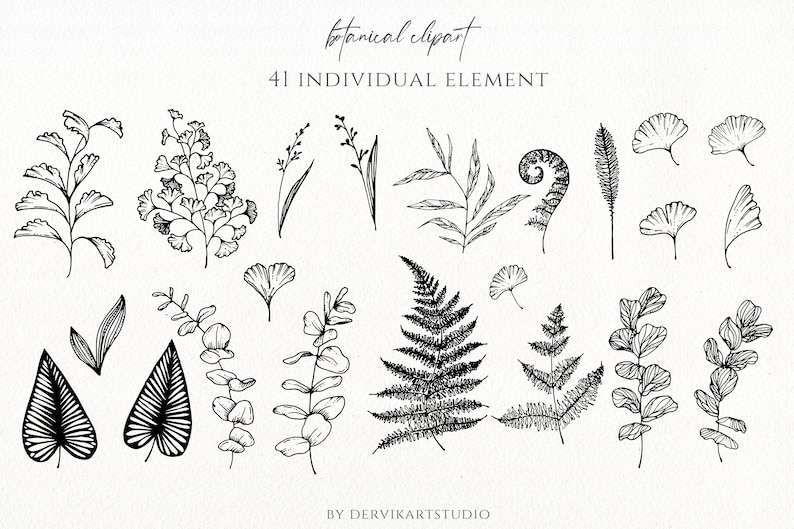 Flower Leaves Svg Eucalyptus Svg Botanical Clip Art Cricut Cut Files#4