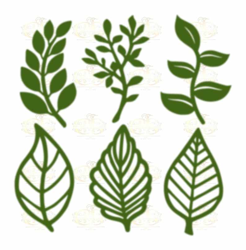 6 Different Leaves Svg Bundle Digital Download#1