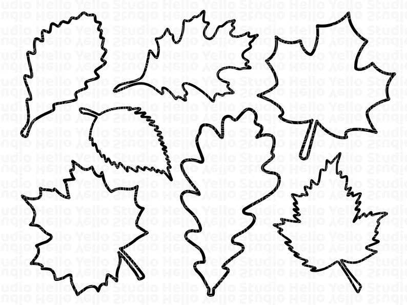 Fall Leaf Svg Fall Leaf Svg Bundle Cut Files for Cricut Digital Download