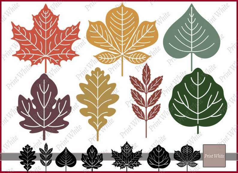 Fall Leaf Svg Fall Svg Maple Leaf Svg Autumn Leaves Svg Digital Download#9