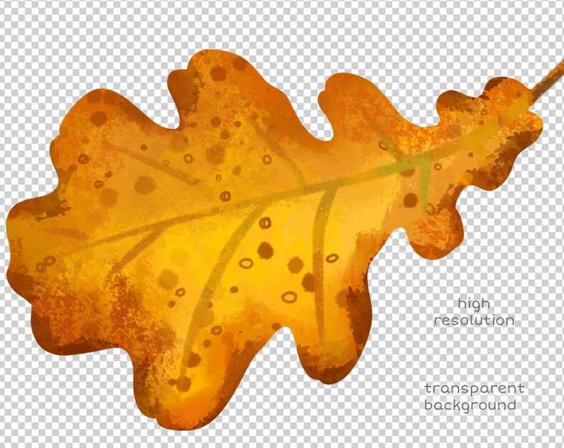 Fall Leaves Svg Clipart Illustrations and Watercolor Autumn Leaf Svg Digital Download#4
