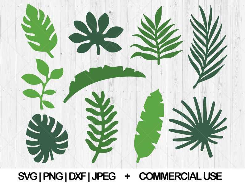 Tropical Leaves Svg Bundle Palm Leaves Svg Jungle Leaves Svg Instant Download#1