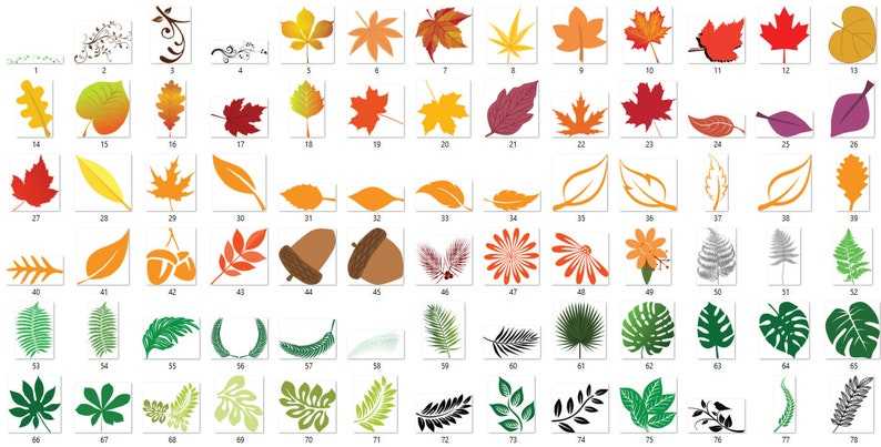 Leaves Svg Bundle, Leaf Svg, Tropical Leaves Svg, Monstera Svg, Svg Files for Cricut Digital Download #2