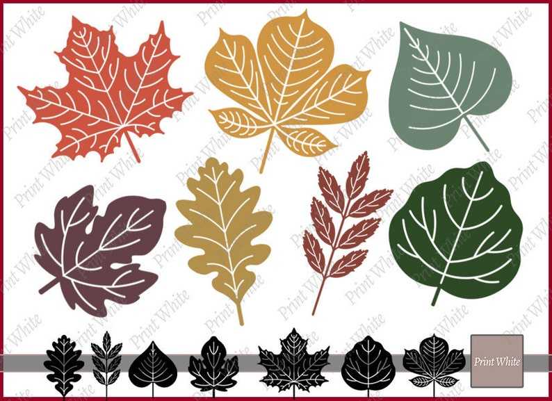 Fall Leaf Svg Fall Svg Maple Leaf Svg Autumn Leaves Svg Digital Download#1