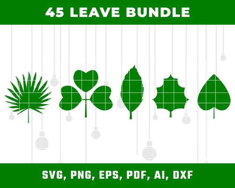 Plant,Leaf,Shrub PNG Clipart - Royalty Free SVG / PNG