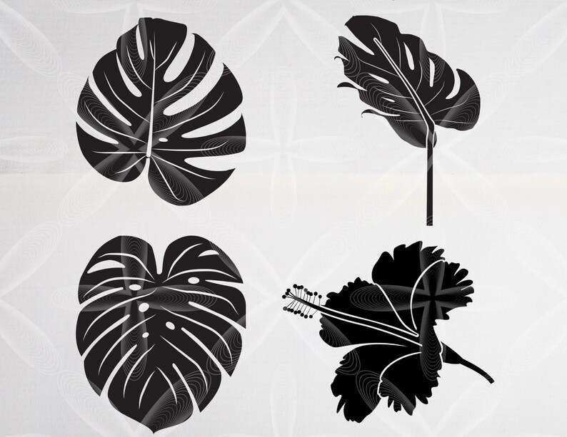 Tropical Leaves Svg Bundle Tropical Leaf Svg Palm Leaves Svg Monstera Svg Digital Download#5
