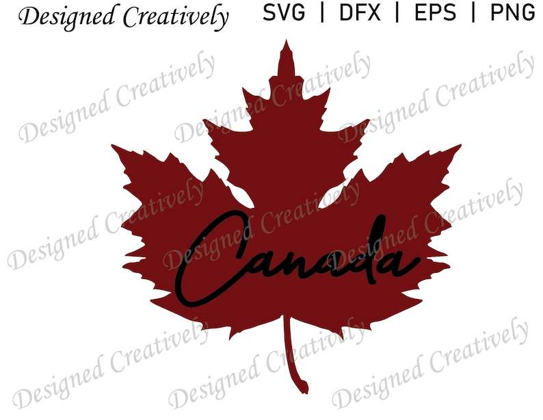 Download Maple Leaf Svg Designs For Your Craft Projects 