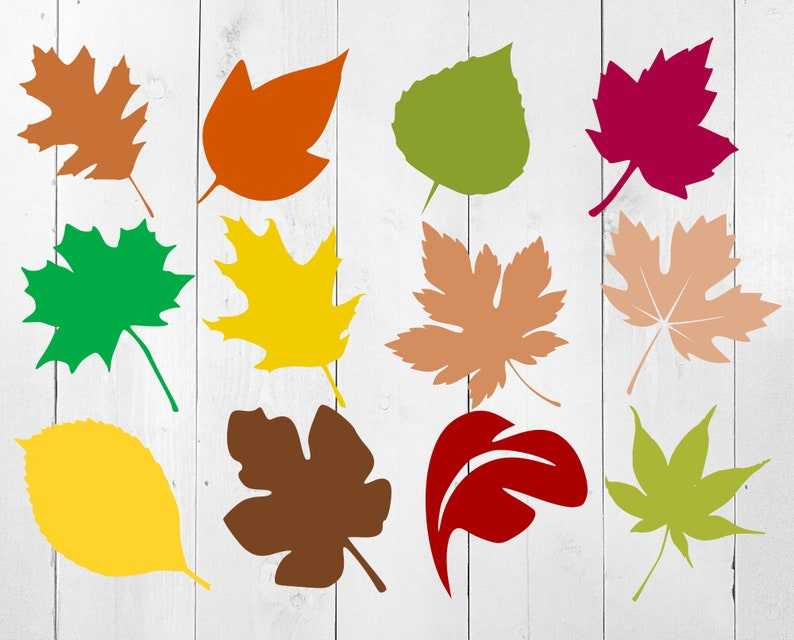 Fall Leaf Svg Bundle, Fall Leaves Svg, Autumn Leaves Svg, Fall Leaf Cut Files Digital Download#1