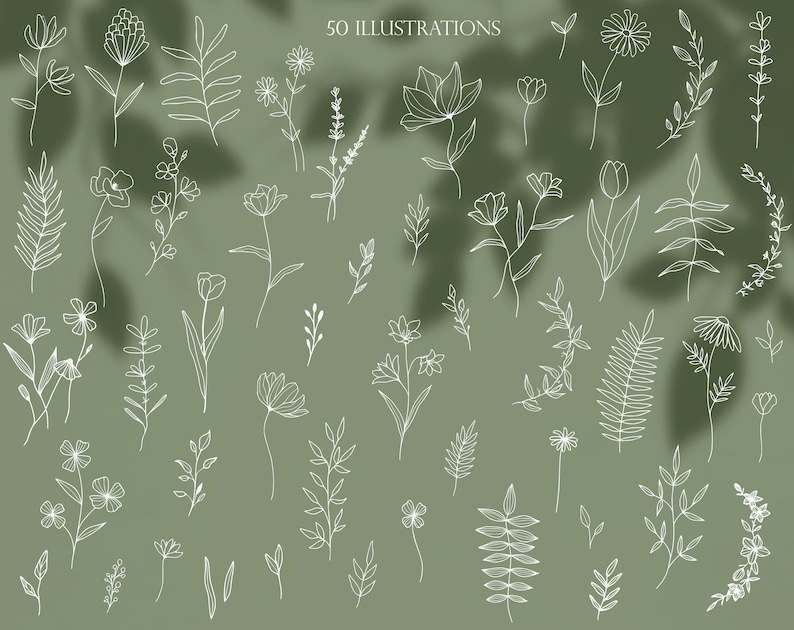 Flowers and Leaves Line Art Clipart Bundle Spring Flower Botanical Illustrations Set#2