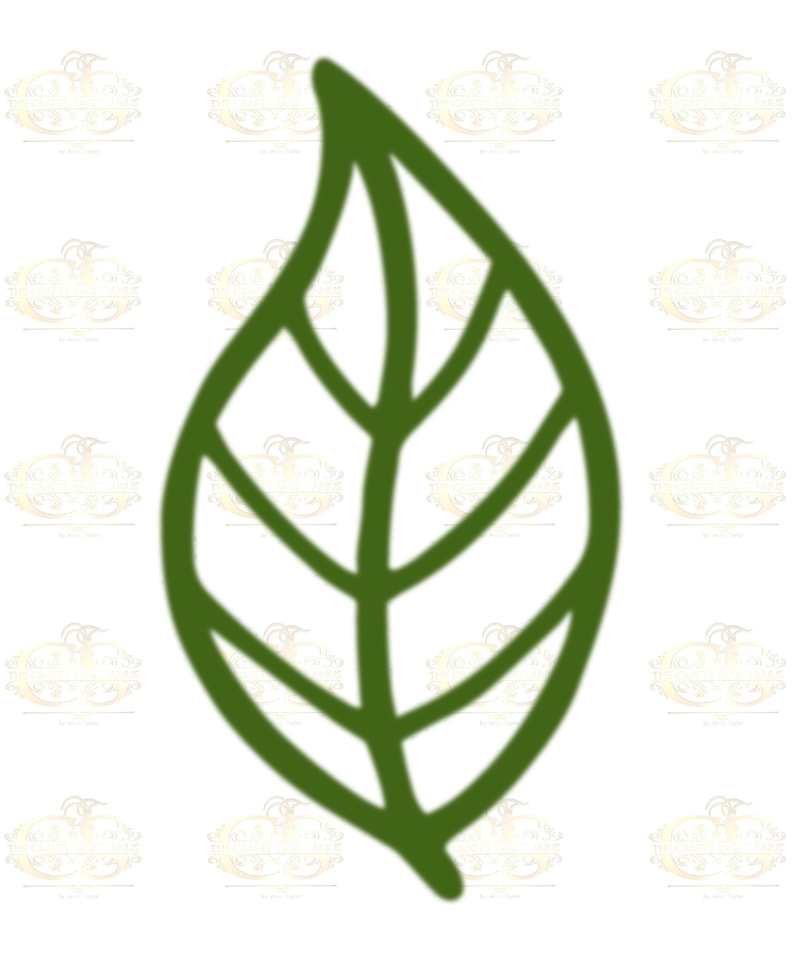 6 Different Leaves Svg Bundle Digital Download#5