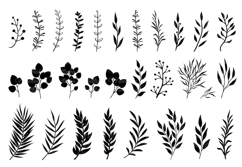Flower Leaf Svg Creativity and Fun Digital Download  