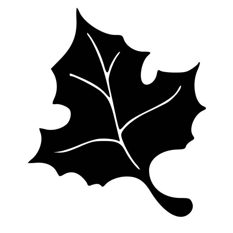 Fall Leaves Svg Bundle Free Perfect for Crafting & Design Projects 