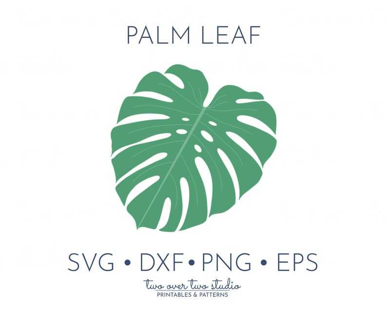 Monstera Leaf Svg Cut File Summer Clip Art Digital Download#1