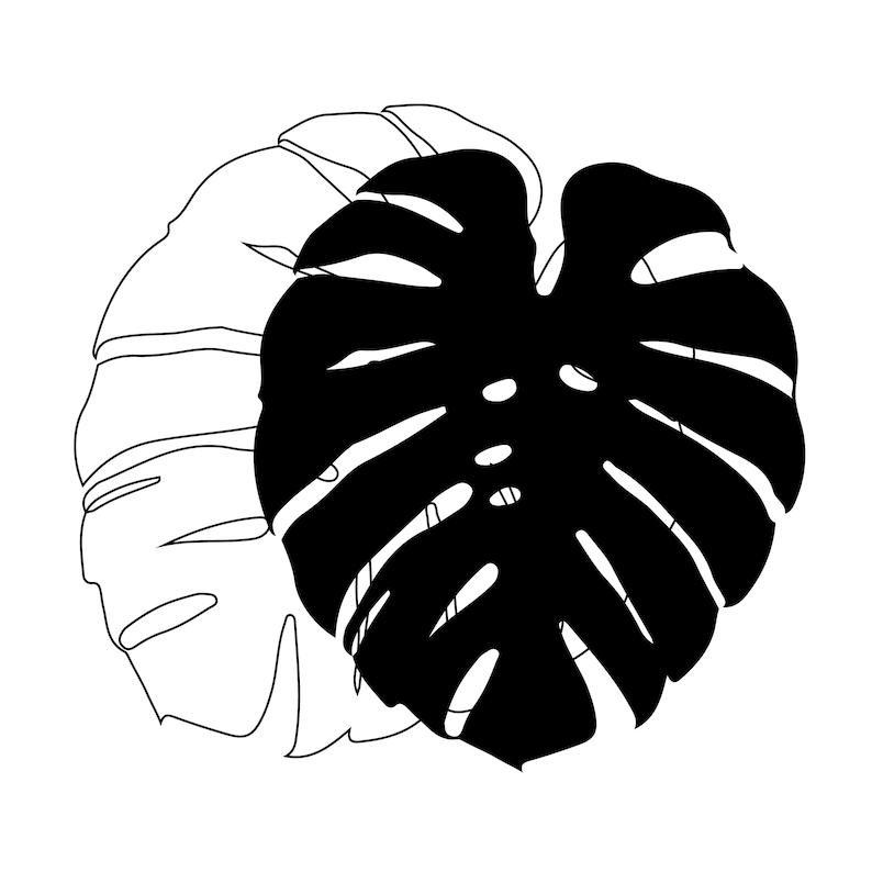 Monstera Leaf Svg Digital Cut and Engrave Files for Silhouette#4