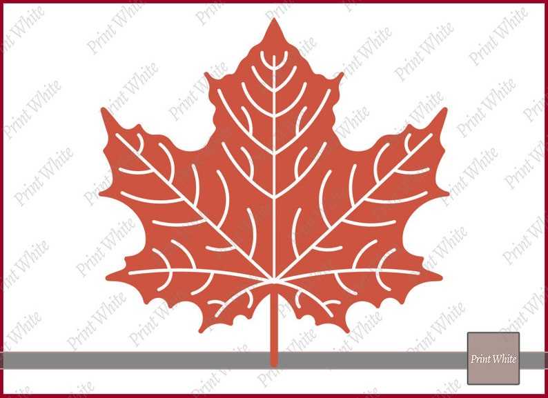 Fall Leaf Svg Fall Svg Maple Leaf Svg Autumn Leaves Svg Digital Download#4
