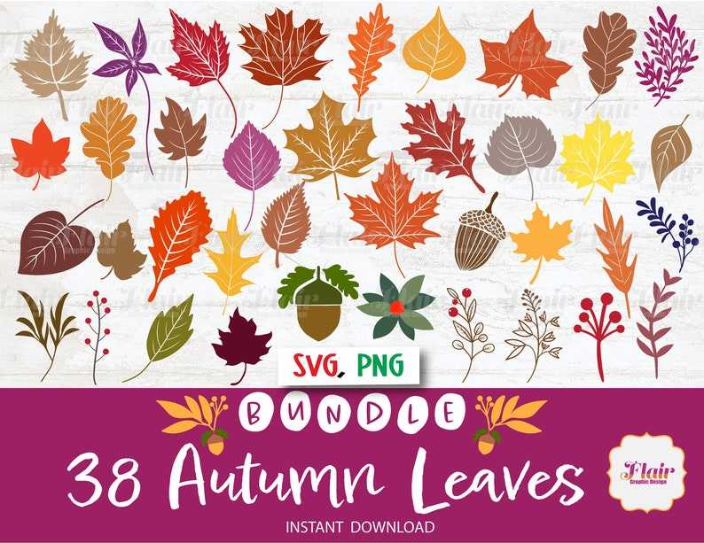 Autumn Leaves Svg Bundle Digital Clipart Fall Leaf Divider Svg#8