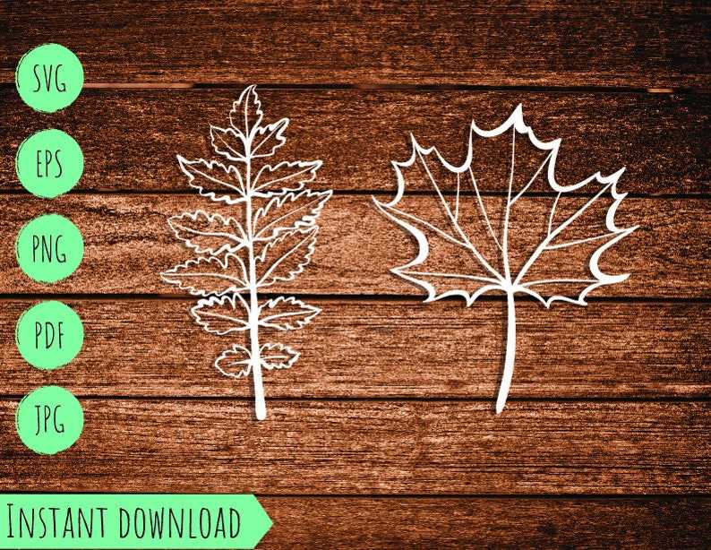 Set Fall Autumn Leaves Vector Svg Maple Leaf Template Cut Cutting Thanksgiving Halloween Clipart#5