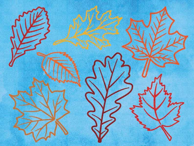 Fall Leaf Svg Bundle Cut Files for Cricut Glowforge Files Download#3