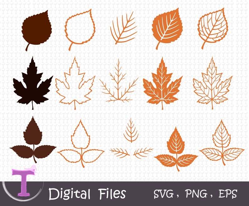 Fall Leaves Svg Bundle Layered Leaf Svg, Autumn Leaves Svg Digital Download#3