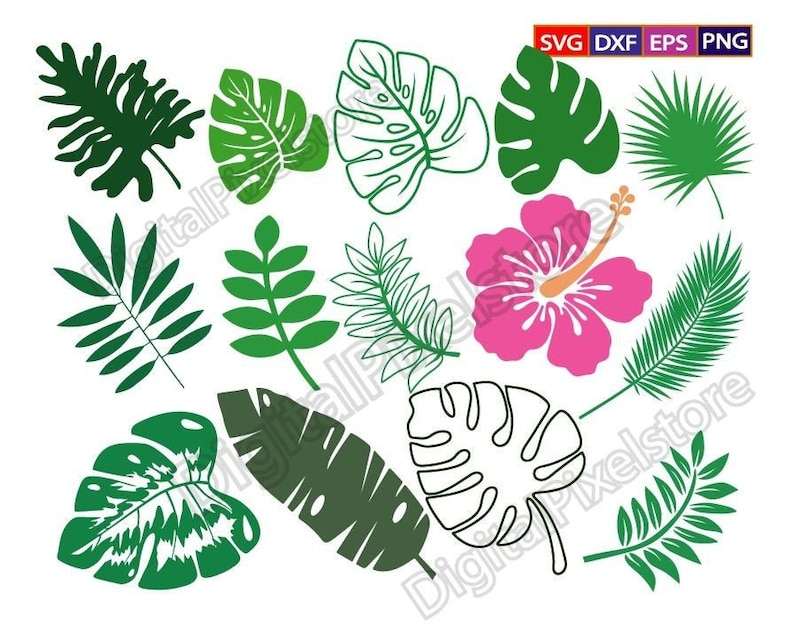 Tropical Leaves Bundle Svg Tropical Leaf Svg Digital Download#1