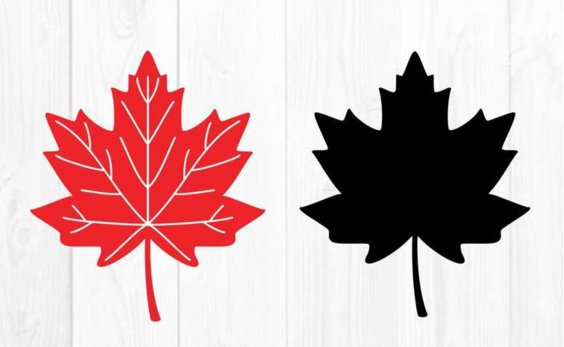 Free Fall Leaves Svg Maple Leaf Outline Canadian Leaf Svg