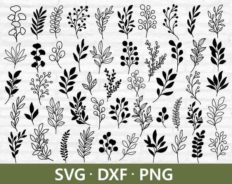 50 Leaves Svg Bundle Hand Drawn Leaves Svg, Leaf Svg, Botanical Clipart, Leaf Vector Digital Download#2