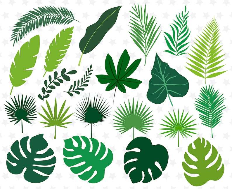 Download Tropical Leaves Svg Designs For Your Craft Projects