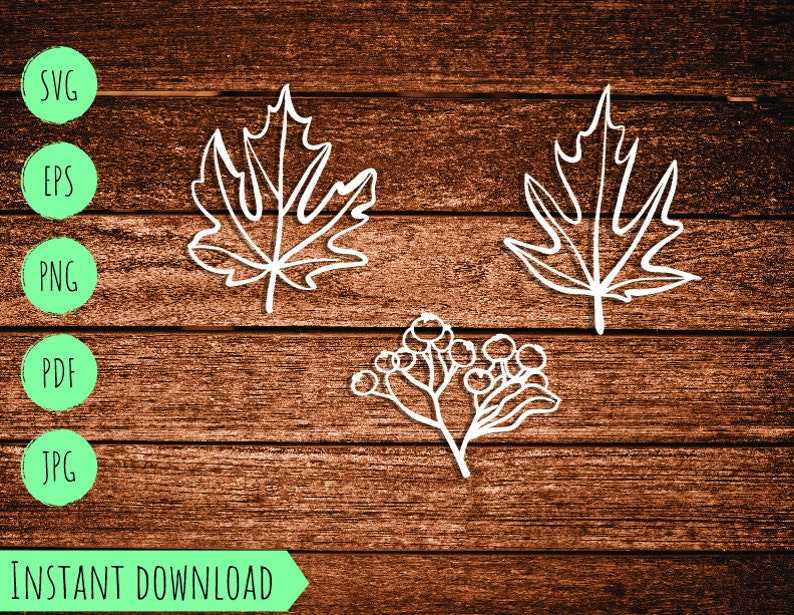 Set Fall Autumn Leaves Vector Svg Maple Leaf Template Cut Cutting Thanksgiving Halloween Clipart#4