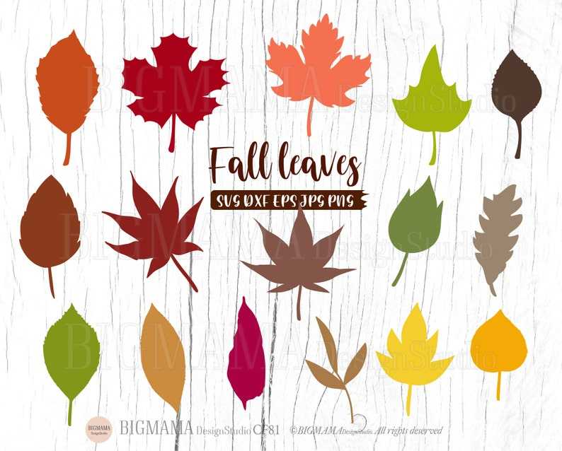 Maple Leaf SVG File for Cricut, Fall Leaf clipart, Canadian Maple Leaves  DXF, Canada Maple Leaf Silhouette, Autumn SVG, Fall printable