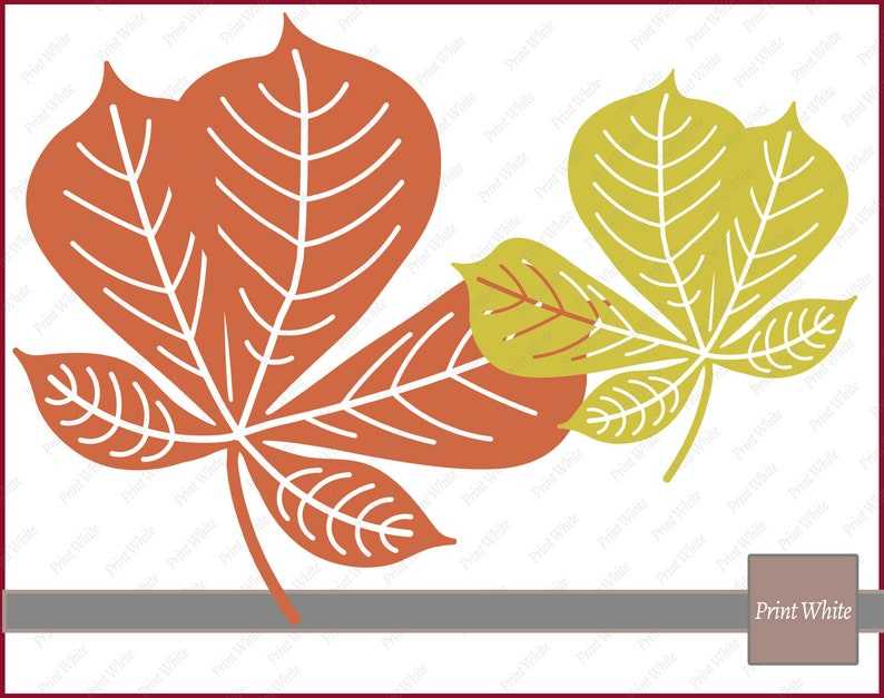 Fall Svg Leaves Clipart, Maple Leaf Svg Autumn Leaves Svg Leaves Cut File Cricut Cutting File Digital Download#2