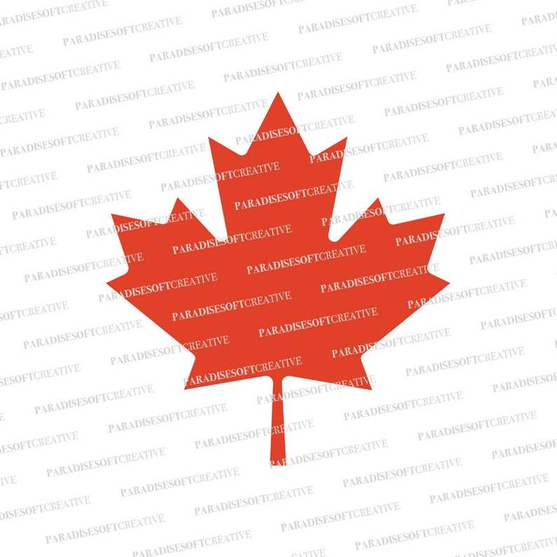 Maple Leaf Svg Canada Symbols Svg Cricut Cut Files Digital Download#1