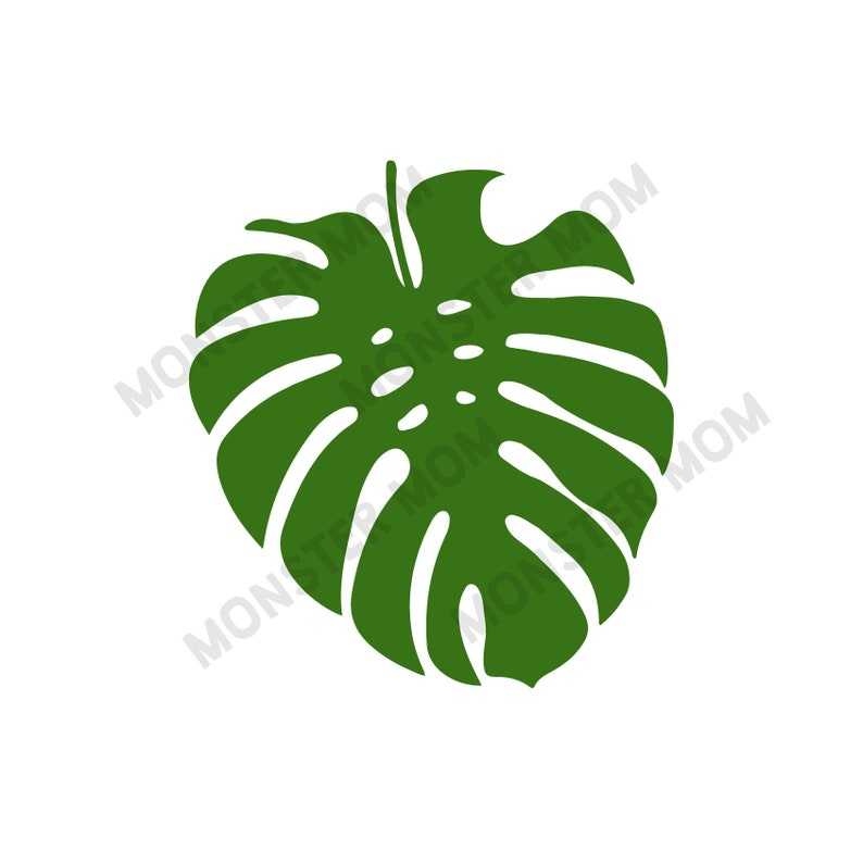 Tropical Leaf Svg Bundle Tropical Leaf Svg Tropical Cut File#6